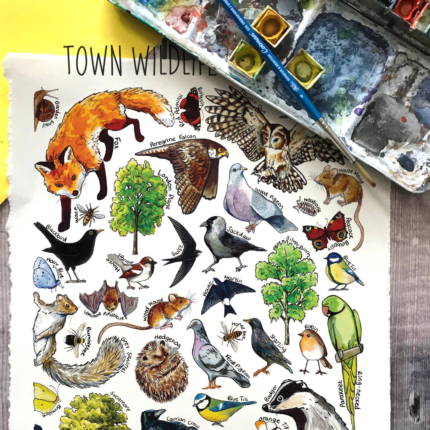 'Town Wildlife of Britain' Blank Postcard
