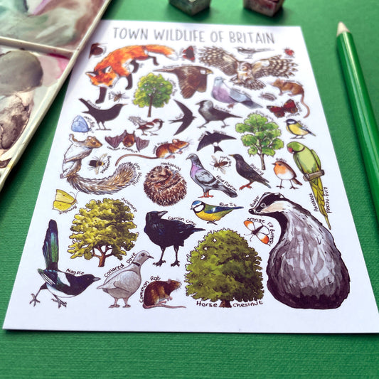 'Town Wildlife of Britain' Blank Postcard