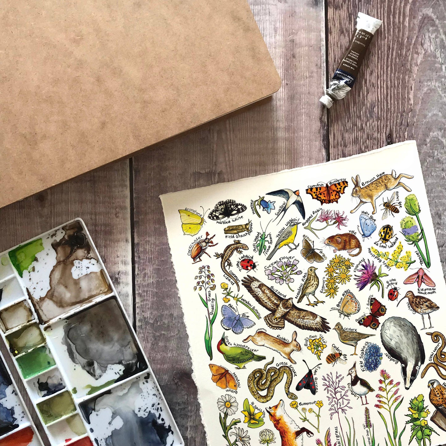 'Meadow Wildlife of Britain' Blank Postcard