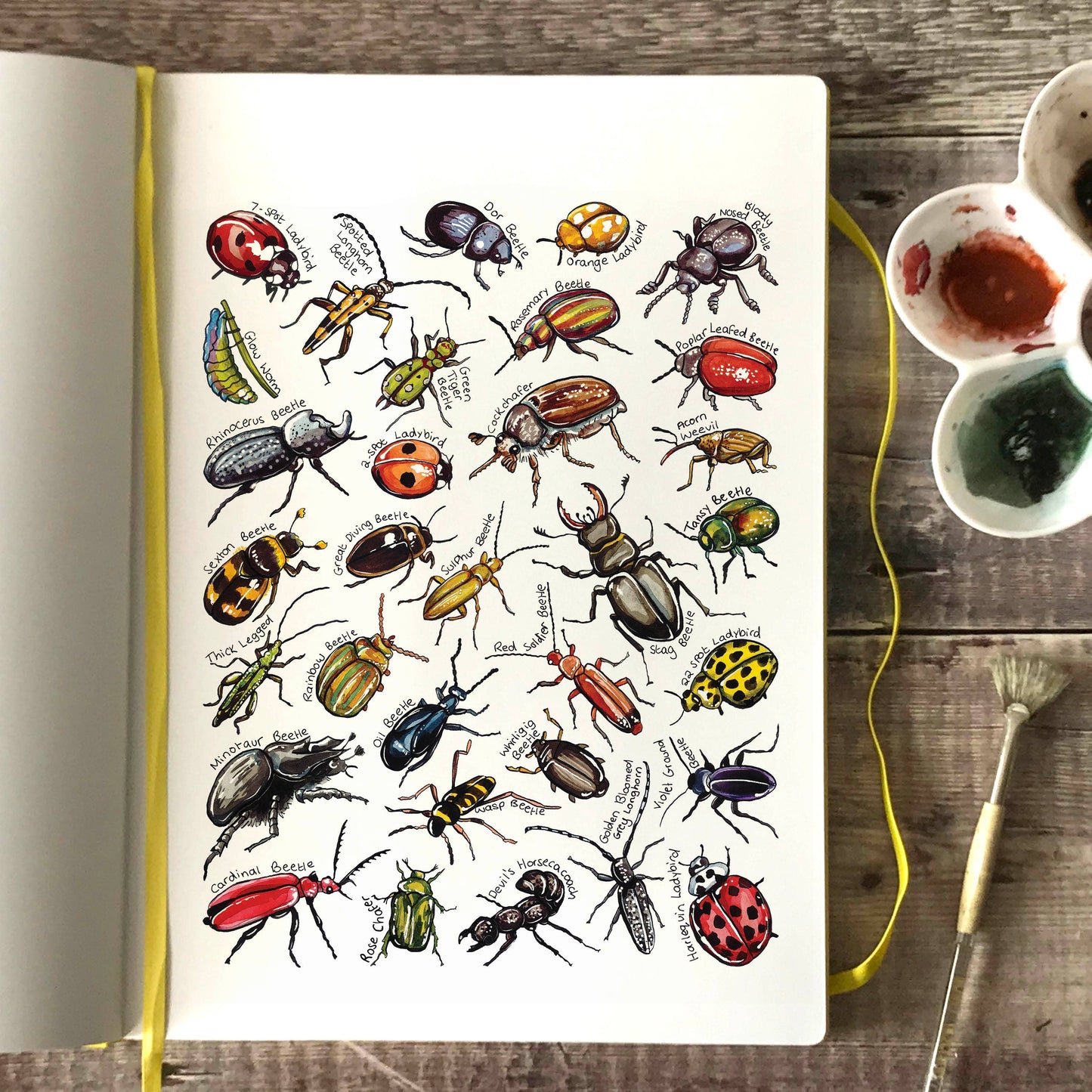 'Beetles of Britain' Blank Postcard