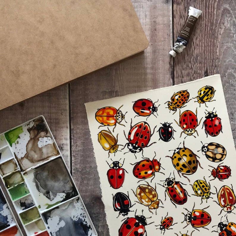 'Ladybirds of Britain' Blank Postcard