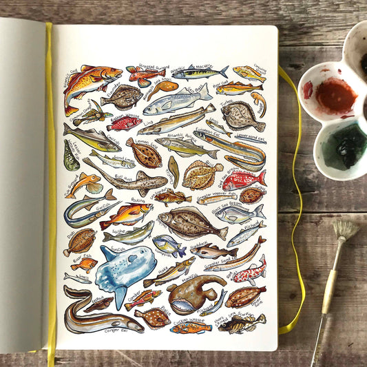 'Sea Fish of Britain' Blank Postcard