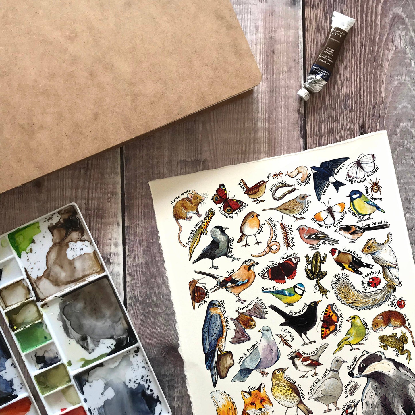 'Garden Wildlife of Britain' Blank Postcard