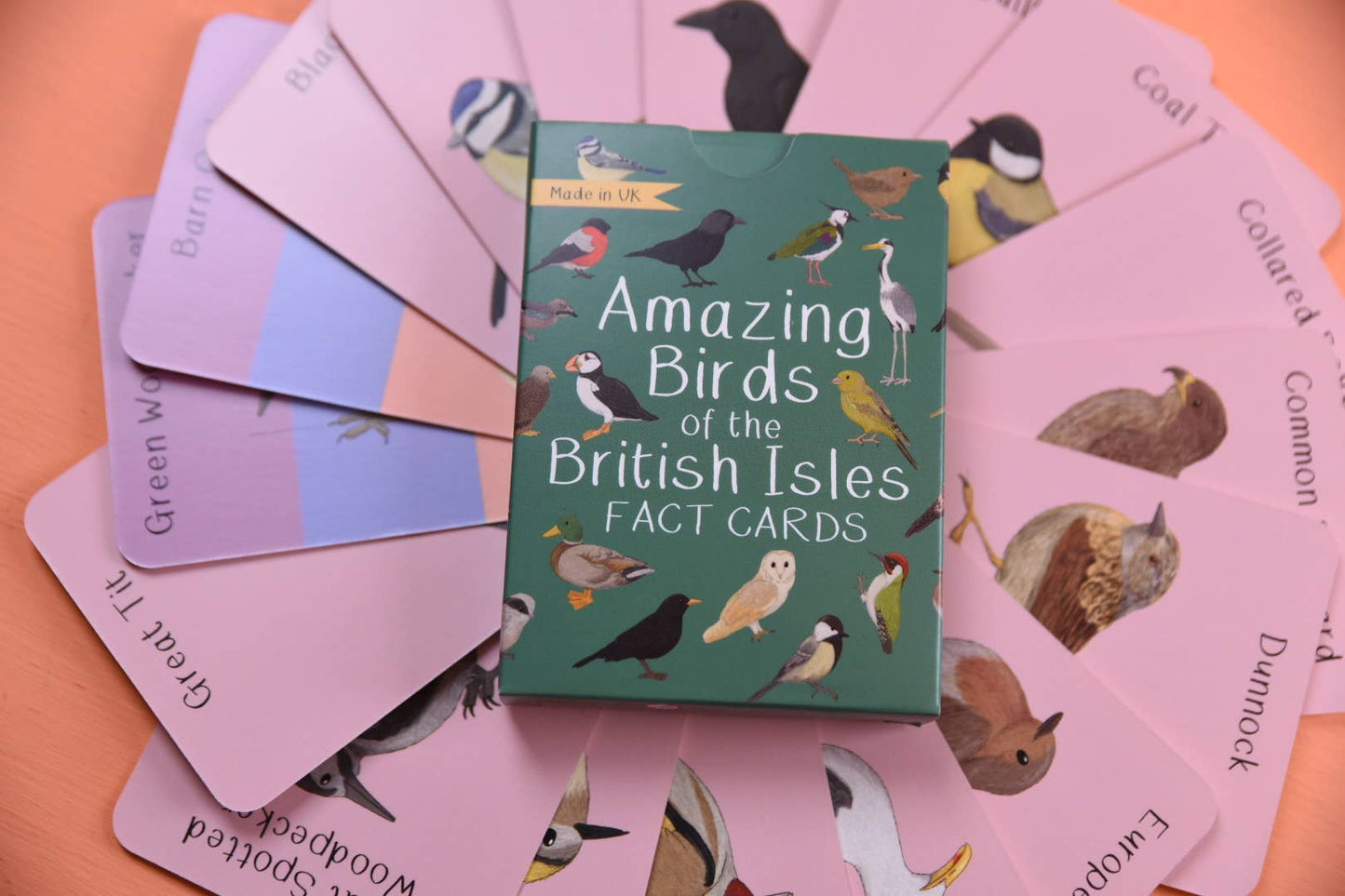 Amazing Birds of the British Isles Fact Cards