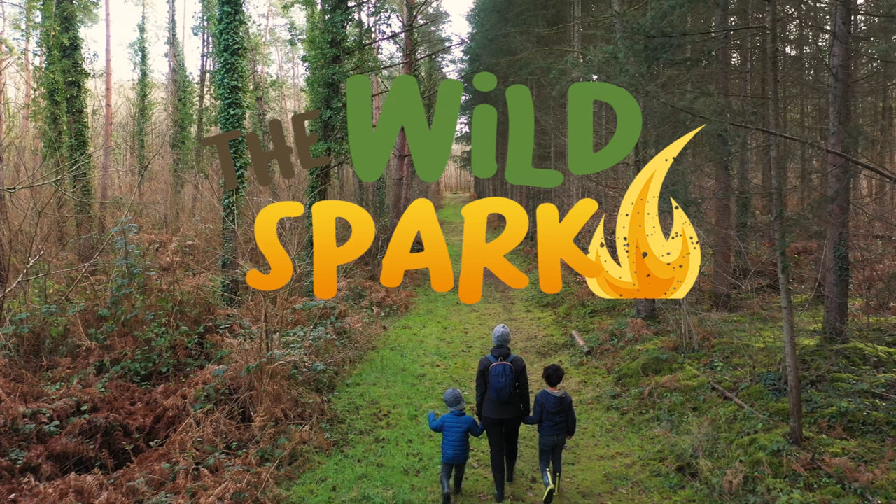 Load video: The Wild Spark Youtube Trailer