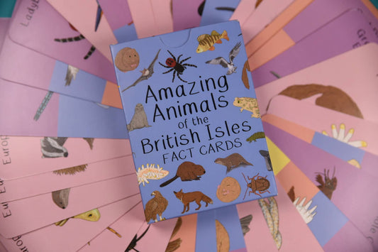 Amazing Animals of the British Isles Fact Cards