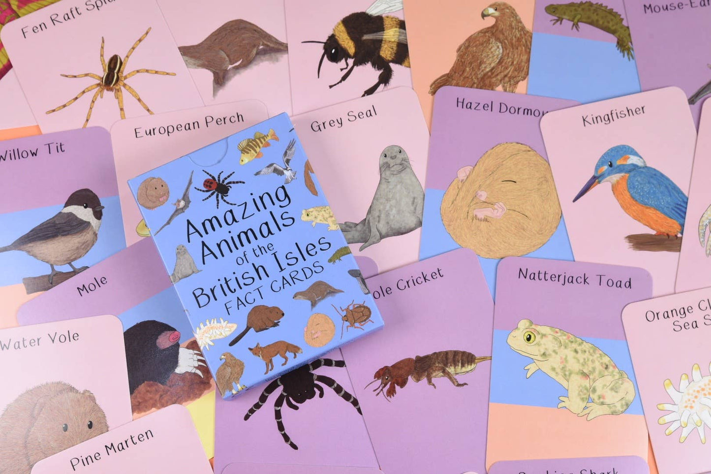 Amazing Animals of the British Isles Fact Cards