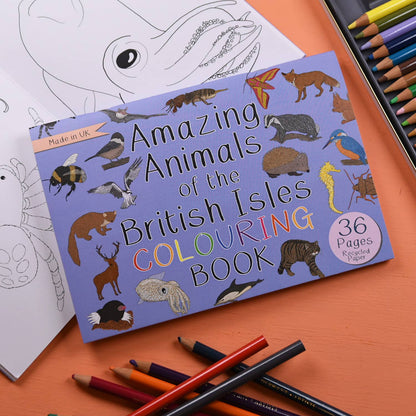 Amazing Animals of the British Isles Colouring Book