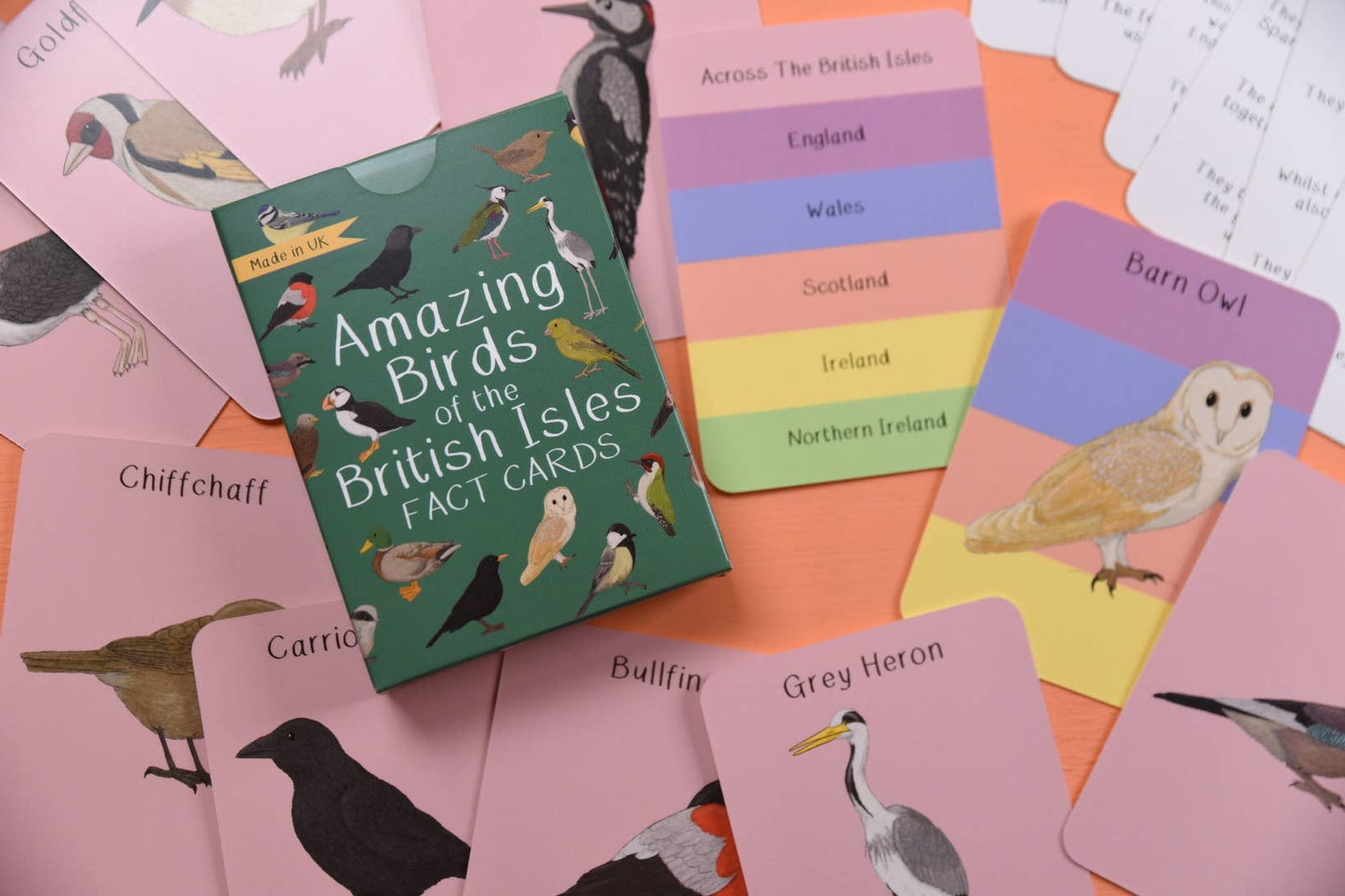 Amazing Birds of the British Isles Fact Cards