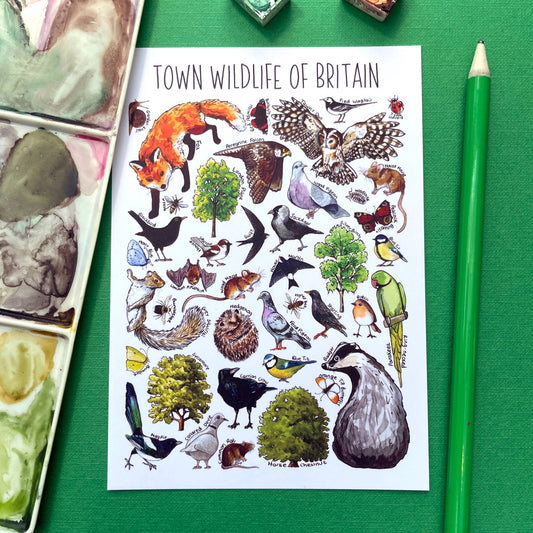 'Town Wildlife of Britain' Blank Postcard