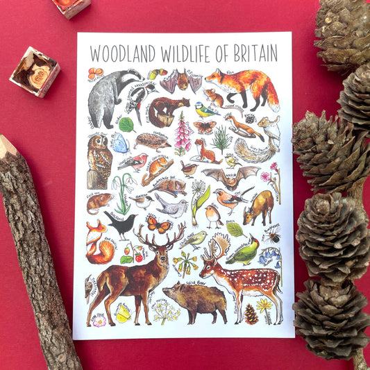 'Woodland Wildlife of Britain' Blank Postcard