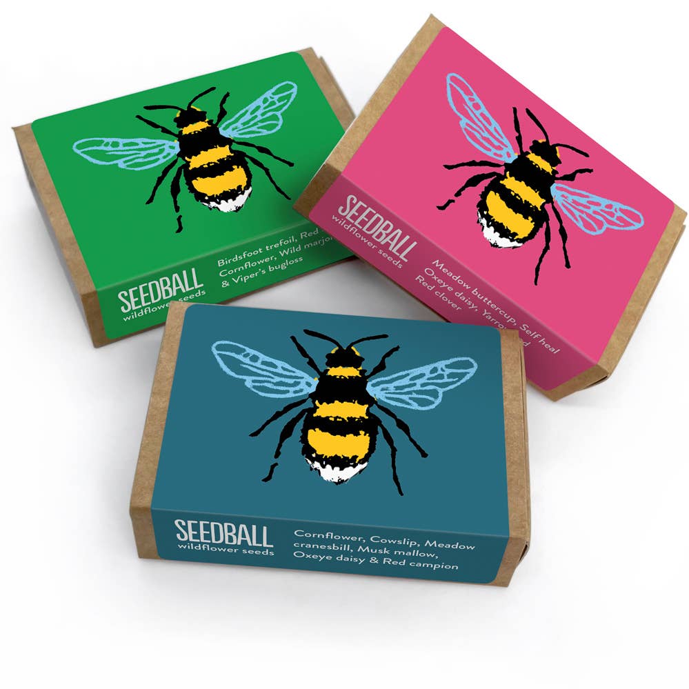 Bumblebee Wildflower Seedballs