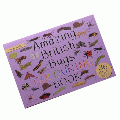 Amazing British Bugs Colouring Book