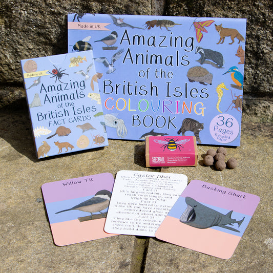 Amazing British Animals Bundle