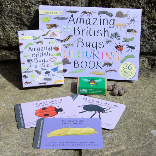 Amazing British Bugs Bundle