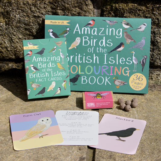 Amazing British Birds Bundle