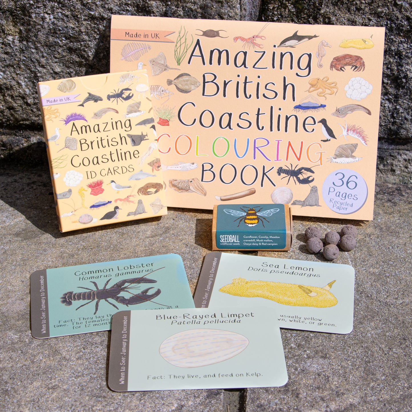 Amazing British Coastline Bundle