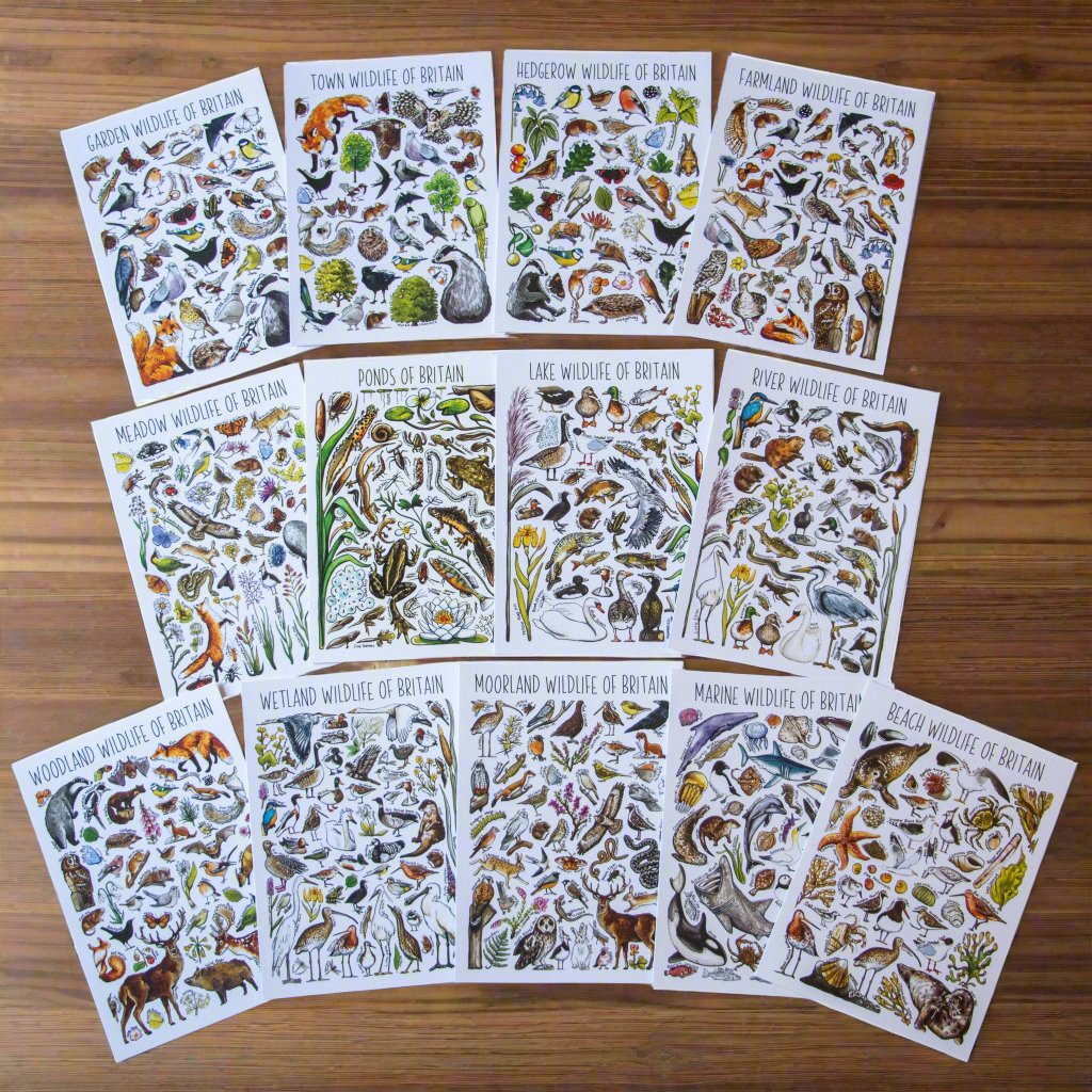 Postcard Bundle - British Wildlife Habitats