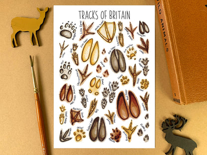 'Animal Tracks of Britain' Blank Postcard