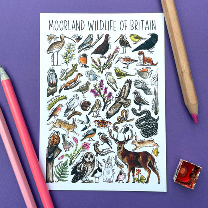 'Moorland Wildlife of Britain' Blank Postcard