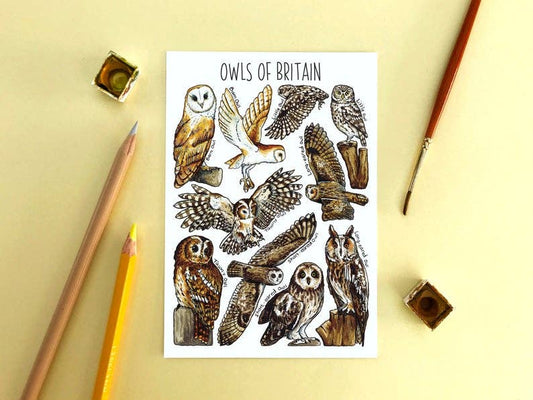 'Owls of Britain' Blank Postcard