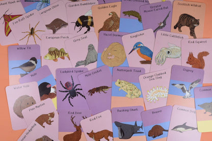 Amazing Animals of the British Isles Fact Cards