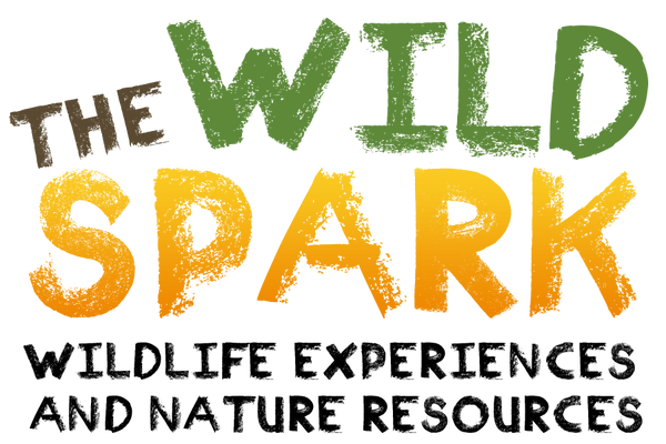 The Wild Spark
