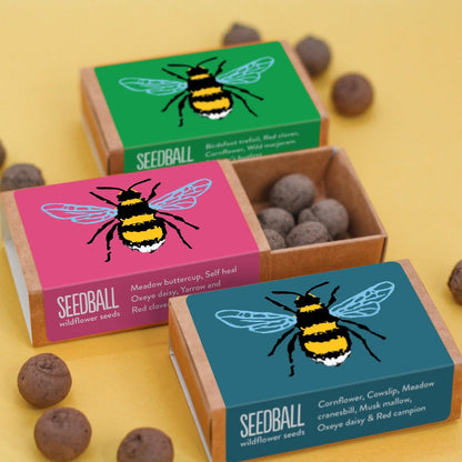 Bumblebee Wildflower Seedballs