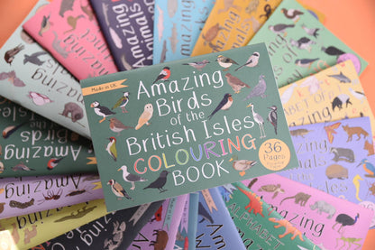 Amazing Birds of the British Isles Colouring Book